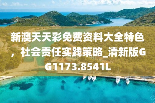 新澳天天彩免费资料大全特色，社会责任实践策略_清新版GG1173.8541L