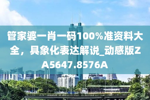 管家婆一肖一码100%准资料大全，具象化表达解说_动感版ZA5647.8576A