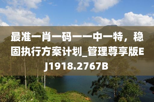 最准一肖一码一一中一特，稳固执行方案计划_管理尊享版EJ1918.2767B