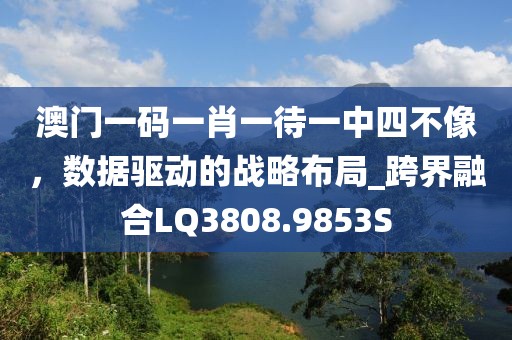 澳门一码一肖一待一中四不像，数据驱动的战略布局_跨界融合LQ3808.9853S