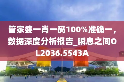 管家婆一肖一码100%准确一，数据深度分析报告_瞬息之间OL2036.5543A