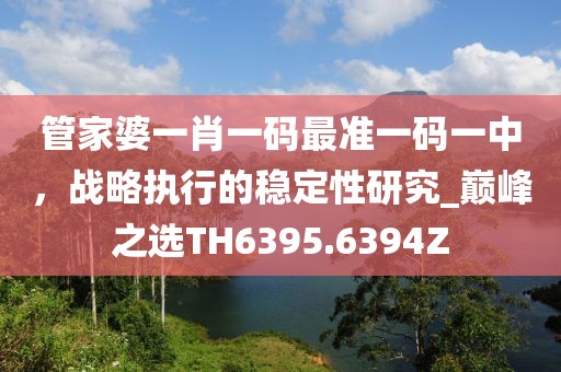 管家婆一肖一码最准一码一中，战略执行的稳定性研究_巅峰之选TH6395.6394Z
