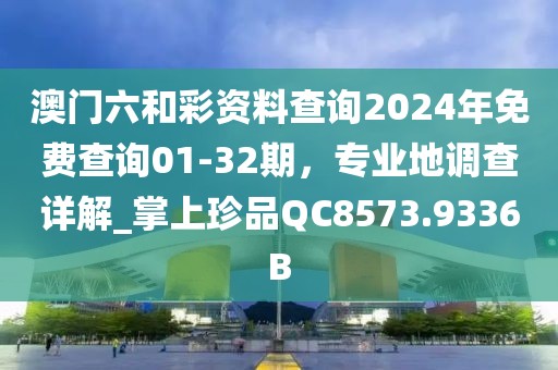 澳门六和彩资料查询2024年免费查询01-32期，专业地调查详解_掌上珍品QC8573.9336B