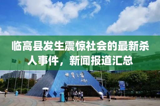 临高县发生震惊社会的最新杀人事件，新闻报道汇总