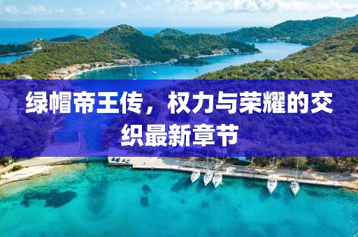 留柔怀 第11页