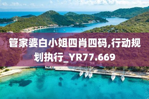 管家婆白小姐四肖四码,行动规划执行_YR77.669