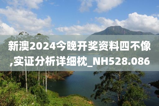 新澳2024今晚开奖资料四不像,实证分析详细枕_NH528.086