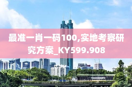 最准一肖一码100,实地考察研究方案_KY599.908