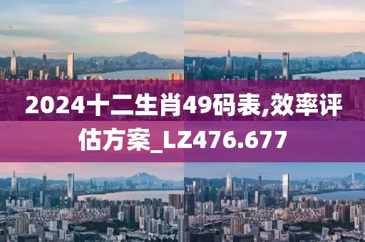 2024十二生肖49码表,效率评估方案_LZ476.677
