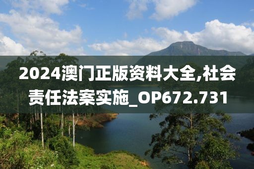 2024澳门正版资料大全,社会责任法案实施_OP672.731