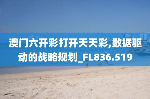 澳门六开彩打开天天彩,数据驱动的战略规划_FL836.519