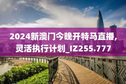 2024新澳门今晚开特马直播,灵活执行计划_IZ255.777