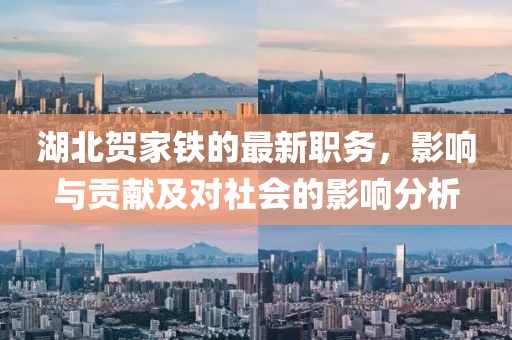湖北贺家铁的最新职务，影响与贡献及对社会的影响分析