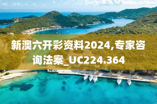 新澳六开彩资料2024,专家咨询法案_UC224.364