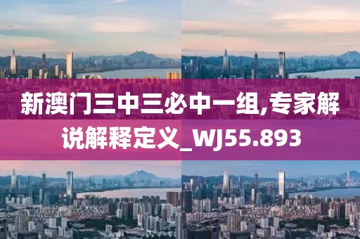 新澳门三中三必中一组,专家解说解释定义_WJ55.893