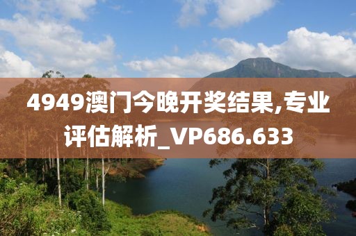 4949澳门今晚开奖结果,专业评估解析_VP686.633