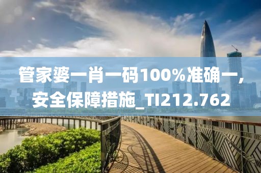 管家婆一肖一码100%准确一,安全保障措施_TI212.762
