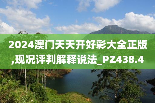 2024澳门天天开好彩大全正版,现况评判解释说法_PZ438.4