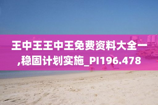 王中王王中王免费资料大全一,稳固计划实施_PI196.478