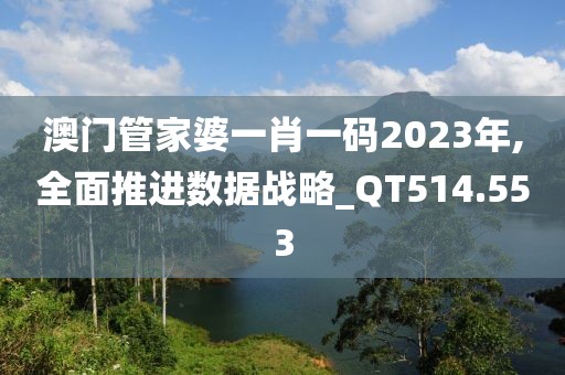 澳门管家婆一肖一码2023年,全面推进数据战略_QT514.553