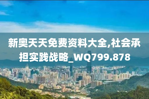 新奥天天免费资料大全,社会承担实践战略_WQ799.878