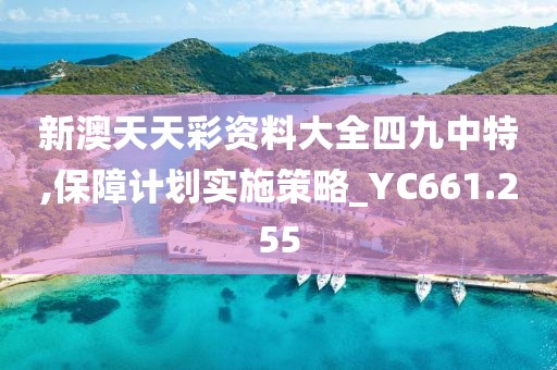 新澳天天彩资料大全四九中特,保障计划实施策略_YC661.255