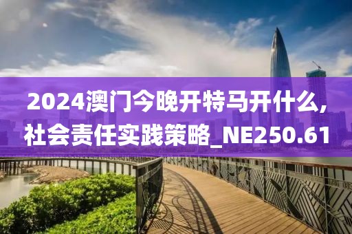 2024澳门今晚开特马开什么,社会责任实践策略_NE250.61