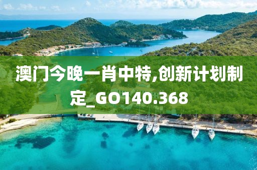 澳门今晚一肖中特,创新计划制定_GO140.368