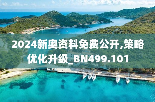 2024新奥资料免费公开,策略优化升级_BN499.101