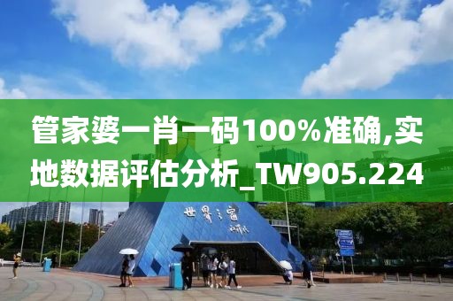管家婆一肖一码100%准确,实地数据评估分析_TW905.224