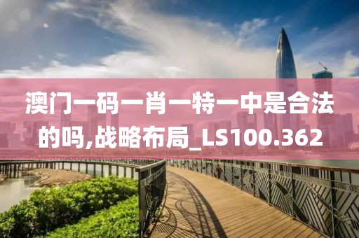 澳门一码一肖一特一中是合法的吗,战略布局_LS100.362