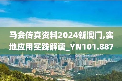 马会传真资料2024新澳门,实地应用实践解读_YN101.887