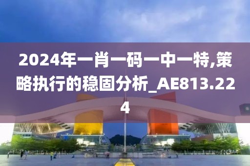 2024年一肖一码一中一特,策略执行的稳固分析_AE813.224