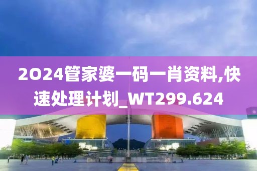 2O24管家婆一码一肖资料,快速处理计划_WT299.624