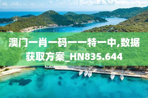 澳门一肖一码一一特一中,数据获取方案_HN835.644