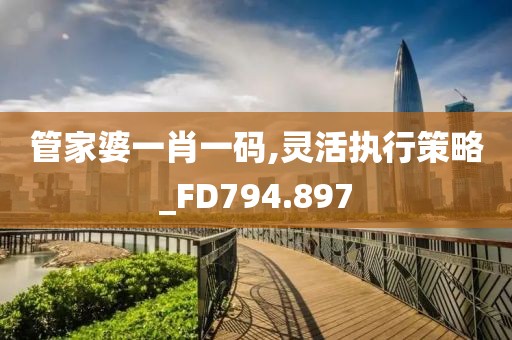 管家婆一肖一码,灵活执行策略_FD794.897
