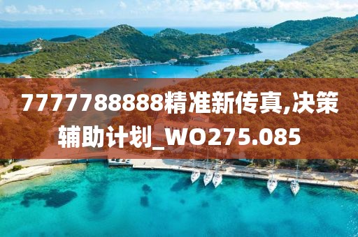 7777788888精准新传真,决策辅助计划_WO275.085
