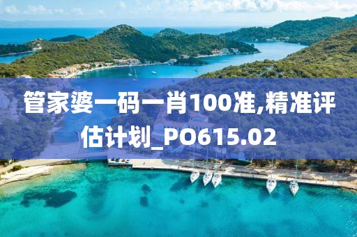 管家婆一码一肖100准,精准评估计划_PO615.02