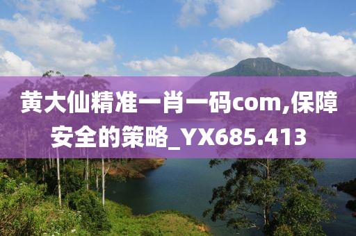 黄大仙精准一肖一码com,保障安全的策略_YX685.413
