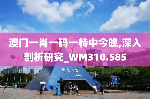 澳门一肖一码一特中今晚,深入剖析研究_WM310.585