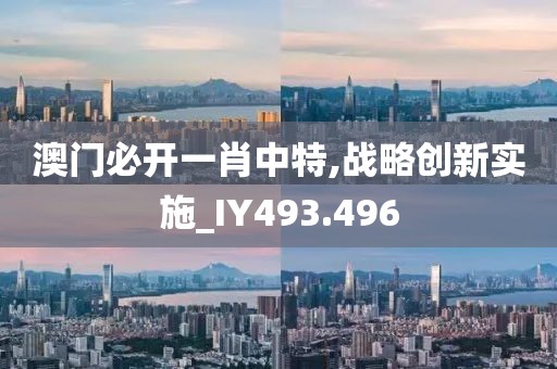 澳门必开一肖中特,战略创新实施_IY493.496