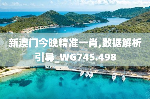 新澳门今晚精准一肖,数据解析引导_WG745.498