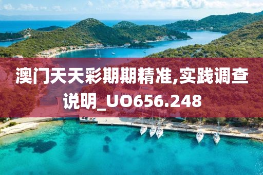 澳门天天彩期期精准,实践调查说明_UO656.248