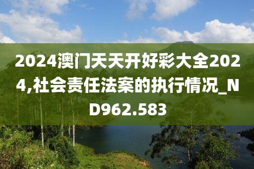 2024澳门天天开好彩大全2024,社会责任法案的执行情况_ND962.583
