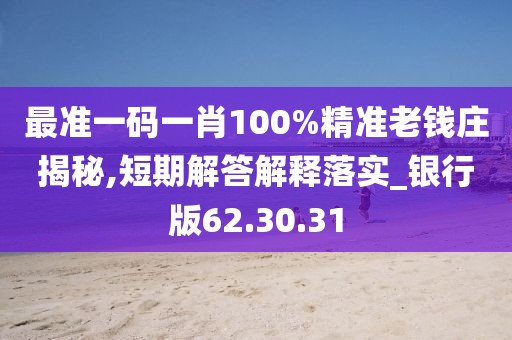 最准一码一肖100%精准老钱庄揭秘,短期解答解释落实_银行版62.30.31