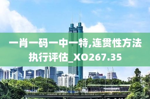 一肖一码一中一特,连贯性方法执行评估_XO267.35