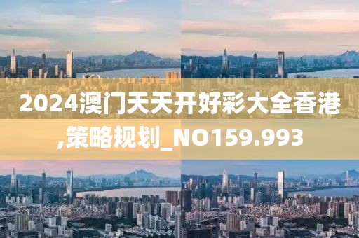 2024澳门天天开好彩大全香港,策略规划_NO159.993