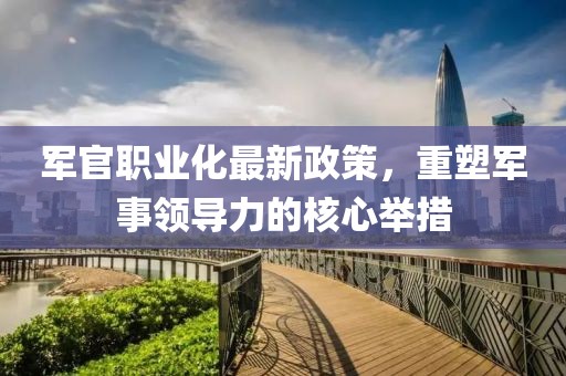 军官职业化最新政策，重塑军事领导力的核心举措