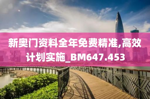新奥门资料全年免费精准,高效计划实施_BM647.453