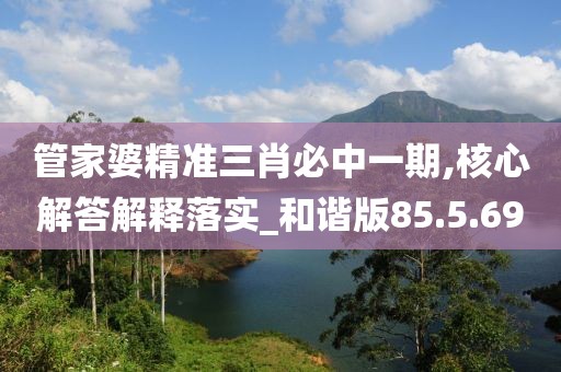 管家婆精准三肖必中一期,核心解答解释落实_和谐版85.5.69